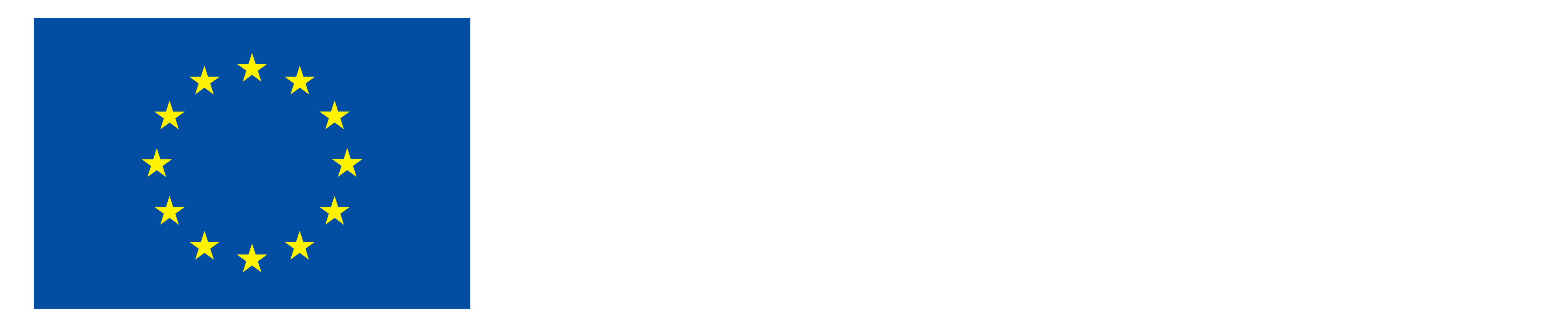 Co-funded by the European union
